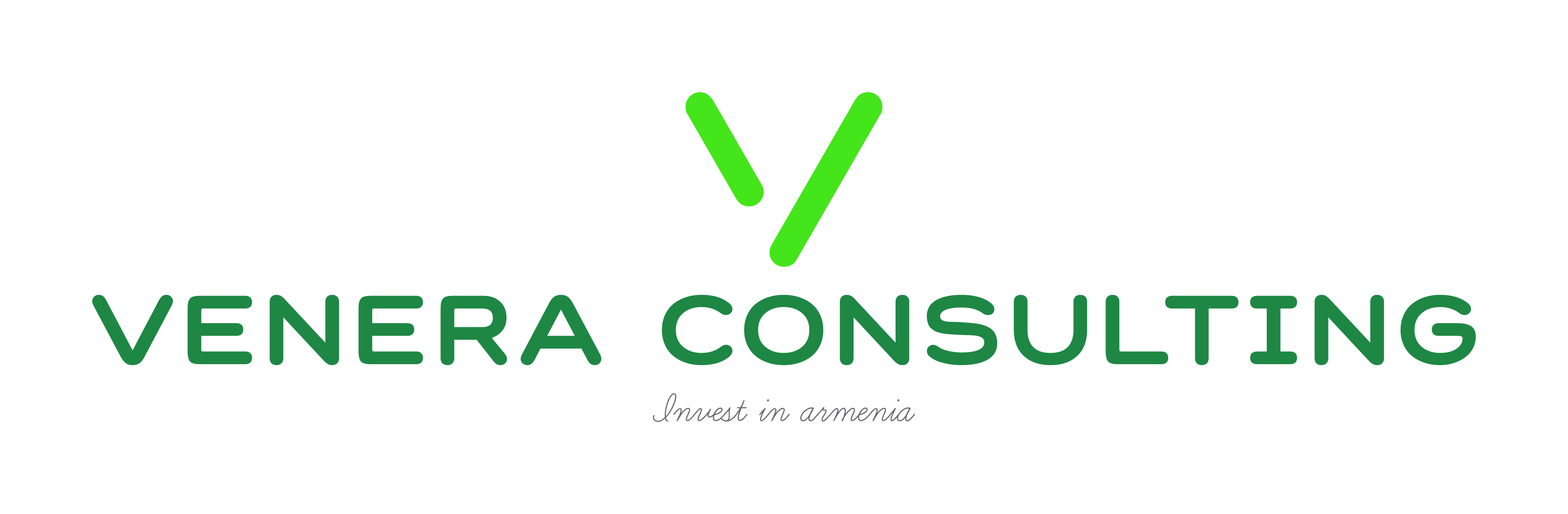venera consulting